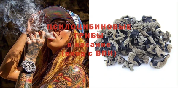 индика Белокуриха