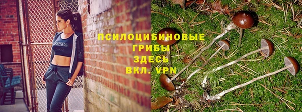 твердый Балабаново